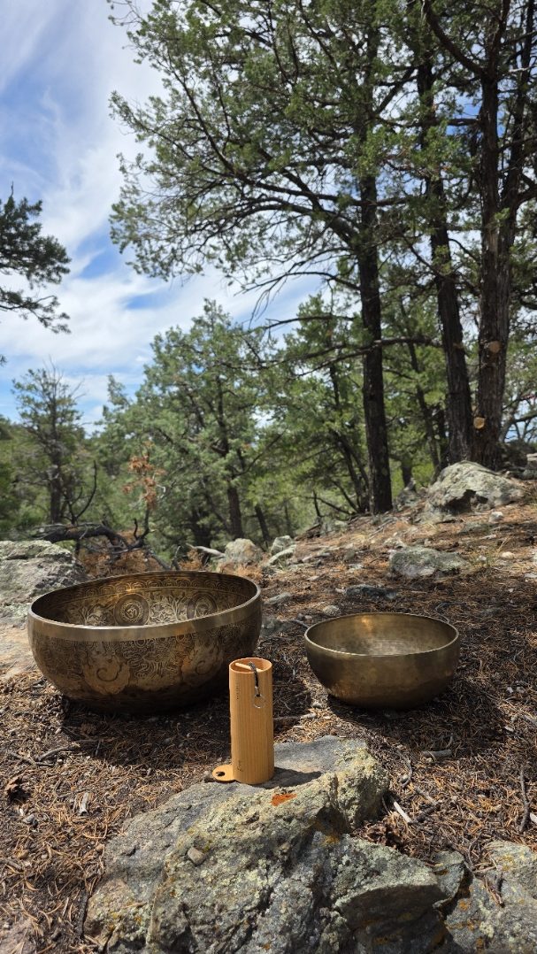 Two bronze singing bowls and a wooden striker set on rock among pines